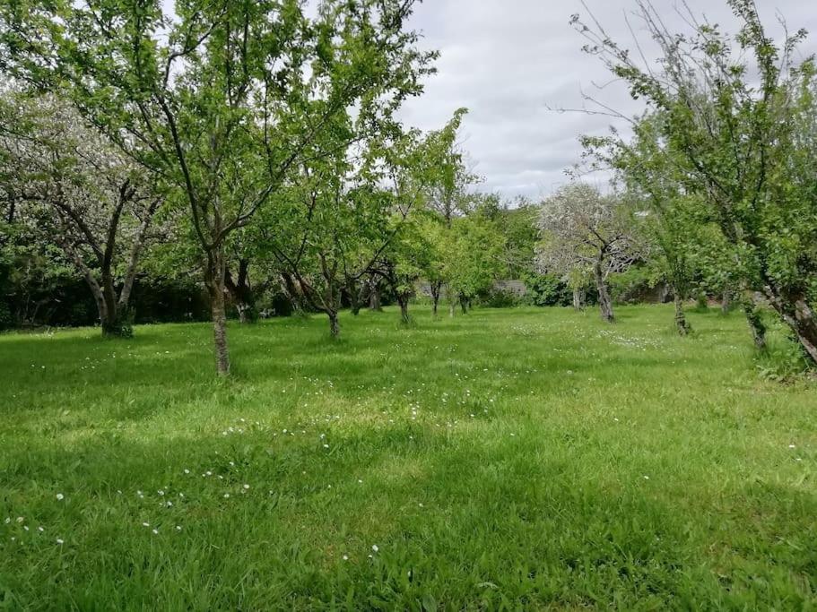 maison piscine privée proche de Rodez Cassagnes-Bégonhès Esterno foto