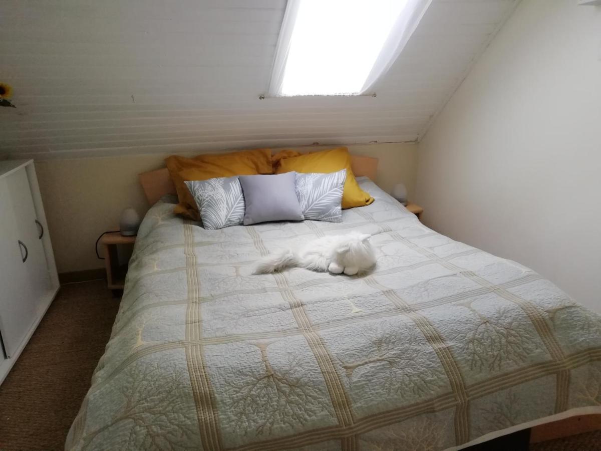 maison piscine privée proche de Rodez Cassagnes-Bégonhès Esterno foto